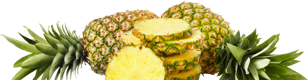 Ananas Transgourmet origine du Costa Rica